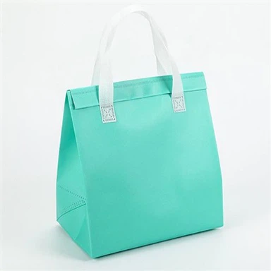 ماحول دوست ٹیک آؤٹ بیگ