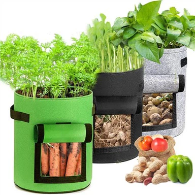 غیر بنے ہوئے پلانٹ گرو بیگ