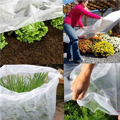 موسم سرما کی قطار کا احاطہ کرتا ہے