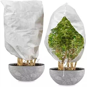 ٹماٹر کی قطار کا احاطہ